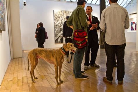 Dogs at the Opera